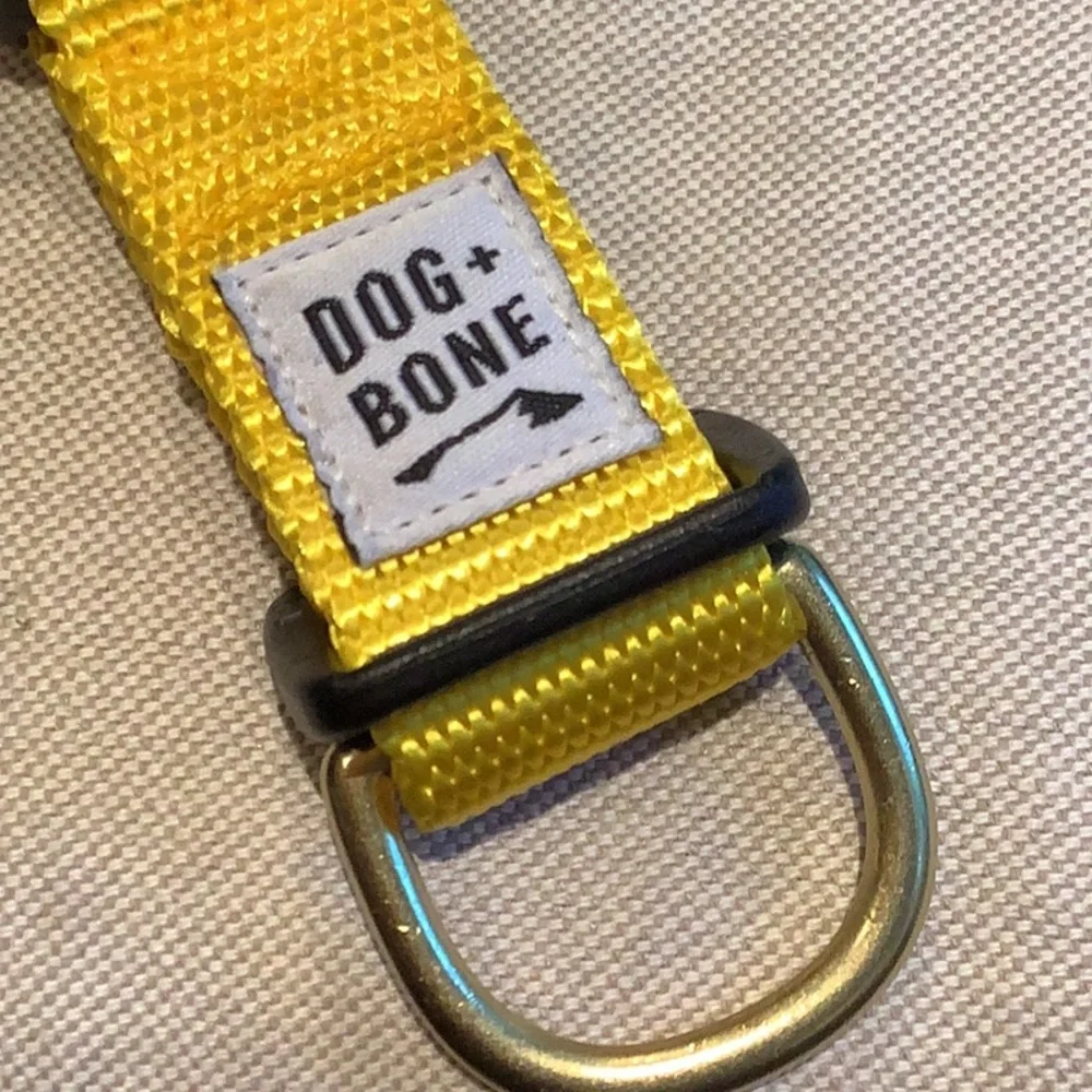 Dog + Bone - Dog COLLAR - Yellow - OS (Adjustable) - Size S 11”-14”